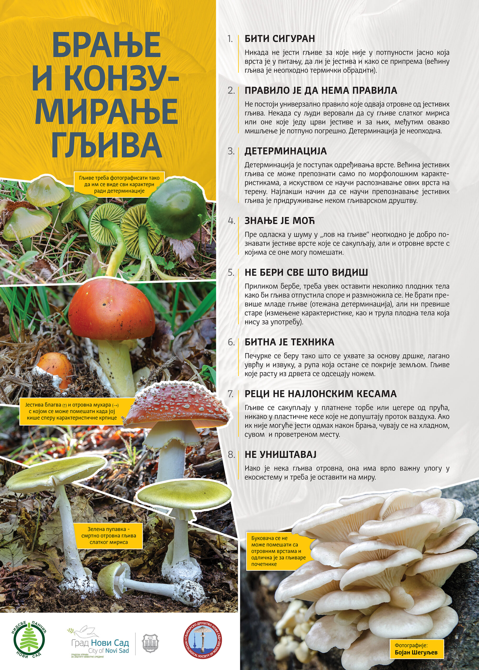 Branje i konzumiranje gljiva predlog (1)